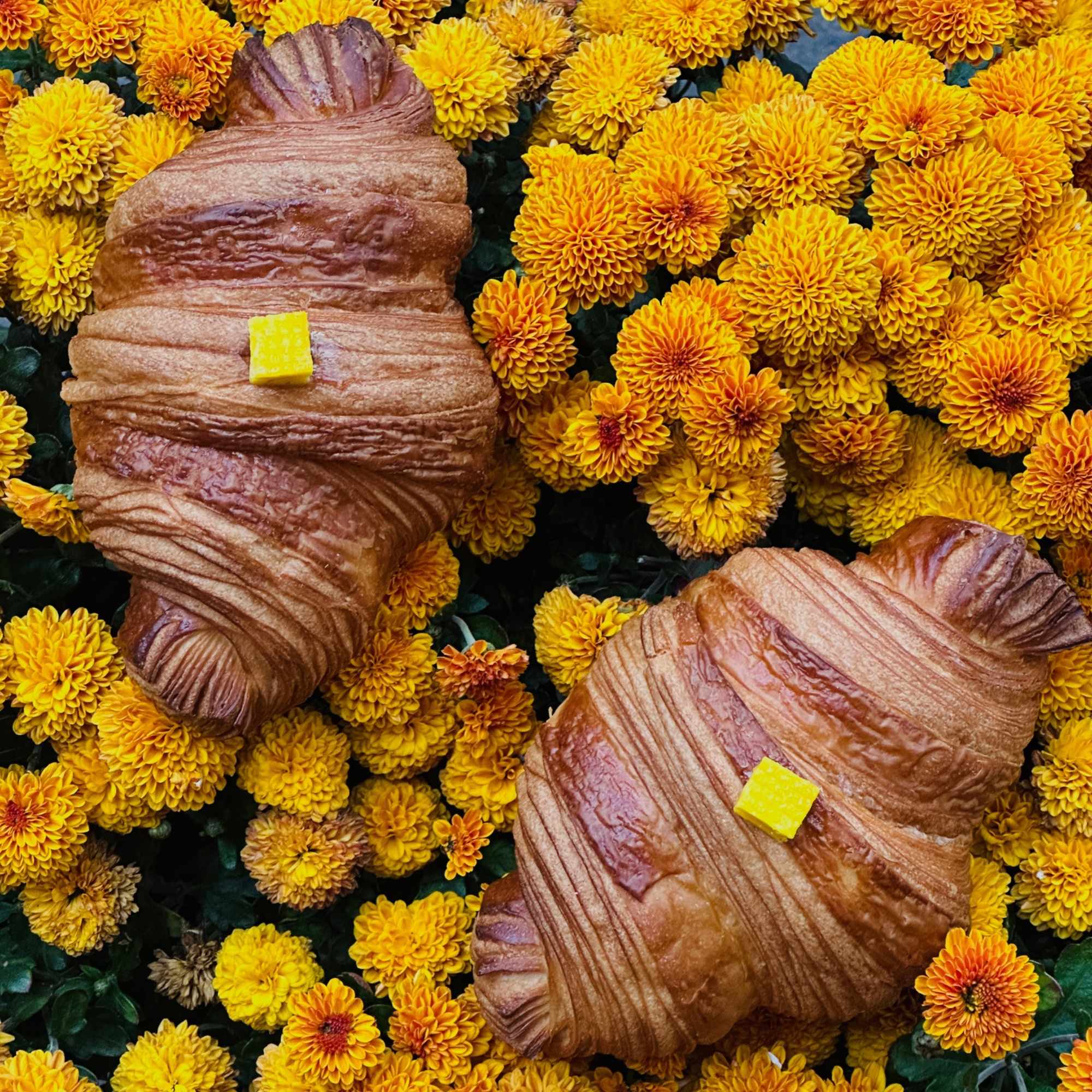 Mango passion fruit croissant